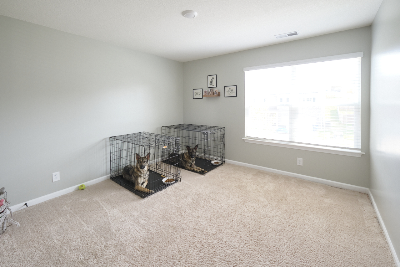 Real Estate Photography Knoxville Cute dogs too